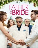 Father of the Bride Free Download