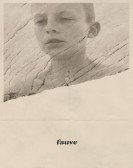 Fauve Free Download