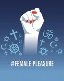 #Female Pleasure poster