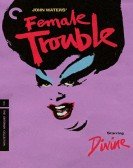 Female Trouble Free Download