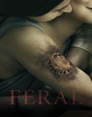 poster_feral_tt4974778.jpg Free Download