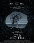 poster_filming-the-wild-pear-tree_tt10688008.jpg Free Download