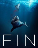 Fin Free Download