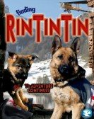 poster_finding-rin-tin-tin_tt0493443.jpg Free Download