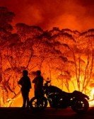 poster_fire-fight-australia_tt11803308.jpg Free Download