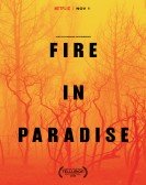 Fire in Paradise poster