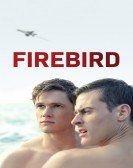 Firebird Free Download