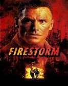 poster_firestorm_tt0120670.jpg Free Download