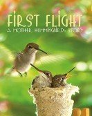 First Flight: A Mother Hummingbird's Story Free Download