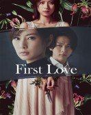 poster_first-love_tt11252688.jpg Free Download