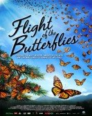 Flight of the Butterflies Free Download