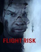 Flight Risk Free Download