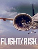 poster_flight-risk_tt21293078.jpg Free Download