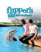 poster_flippers-new-adventure_tt0058105.jpg Free Download