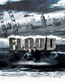 Flood poster