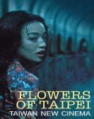 Flowers of Taipei: Taiwan New Cinema poster