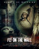 Fly on the Wall Free Download