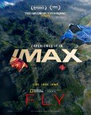 poster_fly_tt31189863.jpg Free Download