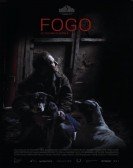 Fogo Free Download