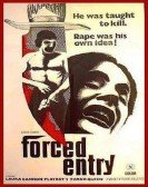 Forced Entry poster