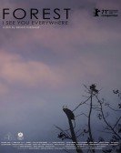 Forest: I See You Everywhere poster