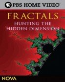 poster_fractals-hunting-the-hidden-dimension_tt1287217.jpg Free Download