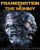 Frankenstein vs. The Mummy poster