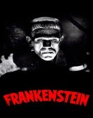 poster_frankenstein_tt0021884.jpg Free Download