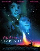 Frankie Starlight poster