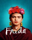 Frida Free Download