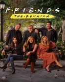 Friends: The Reunion Free Download