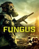 Fungus Free Download