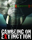 Gambling on Extinction Free Download