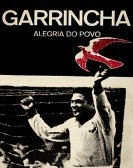 poster_garrincha-hero-of-the-jungle_tt0056010.jpg Free Download