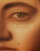 Geranium Free Download