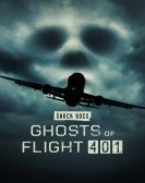 Ghosts of Flight 401 Free Download