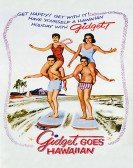 poster_gidget-goes_tt0054923.jpg Free Download