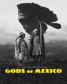 Gods of Mexico Free Download