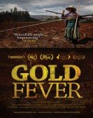 poster_gold-fever_tt2380418.jpg Free Download