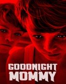 Goodnight Mommy poster