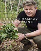 Gordon On Cocaine Free Download