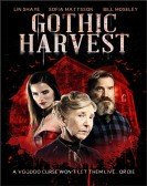 poster_gothic-harvest_tt7657364.jpg Free Download