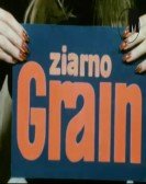 Grain Free Download