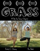 poster_grass_tt4424930.jpg Free Download