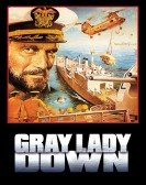 poster_gray-lady-down_tt0077629.jpg Free Download