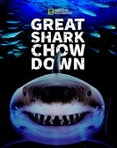 poster_great-shark-chow-down_tt21618728.jpg Free Download