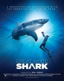 Great White Shark poster