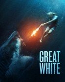 Great White Free Download