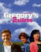 poster_gregorys-two-girls_tt0150786.jpg Free Download