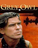 Grey Owl Free Download